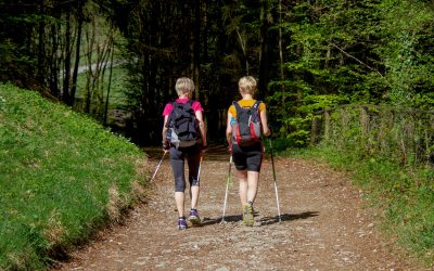 Ohne Prüfung Land für Bauern überlassen